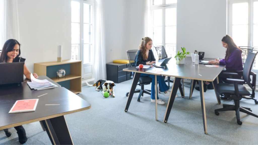 Peut on emmener son chien au bureau