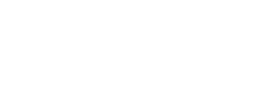 vinci